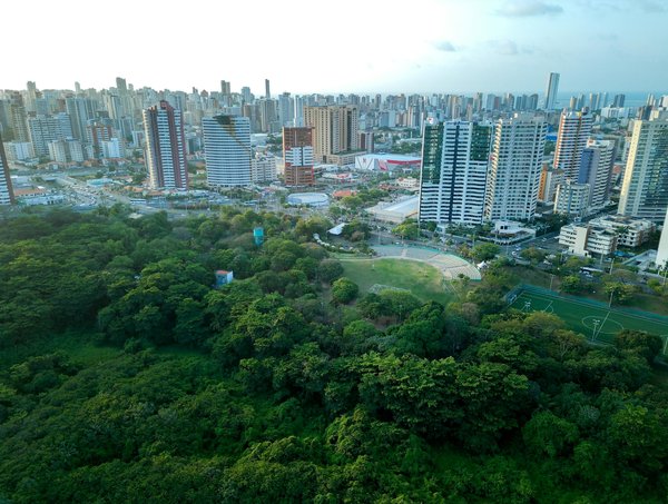 Lutte professionnelle contre les insectes nuisibles : solutions efficaces