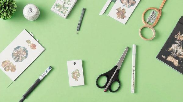 Accessoires indispensables pour maximiser votre collection de cartes