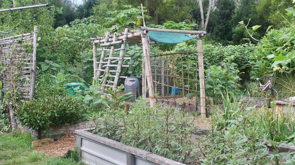Quels sont les secrets pour réussir un potager en permaculture sur un toit urbain ?