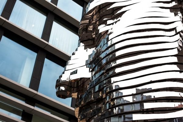 Quelles sont les étapes pour organiser un troc de plantes et de graines dans votre communauté ?